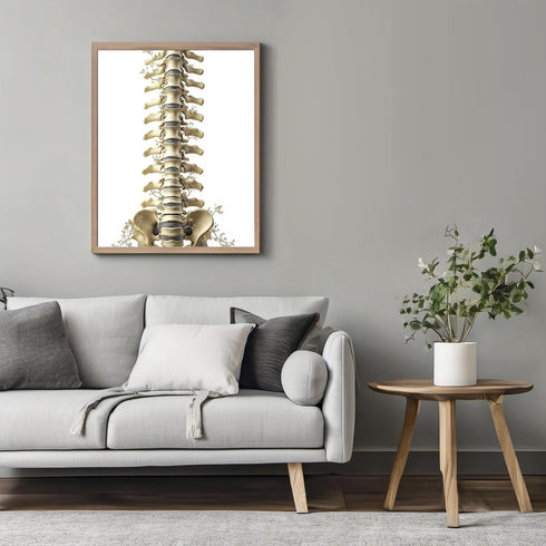 Posterizer 1 pcs-detailed anatomical illustration of the human spinal column 4-Teachers & Classrooms-Abstract & Modern Art-School and classroom ar...